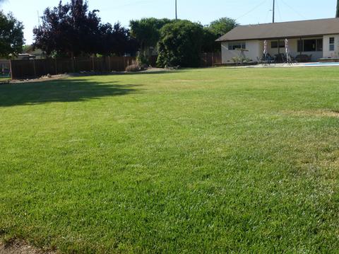 1235 North Ave, Gustine, CA 95322 photo 61