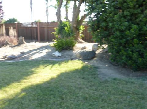 1235 North Ave, Gustine, CA 95322 photo 51