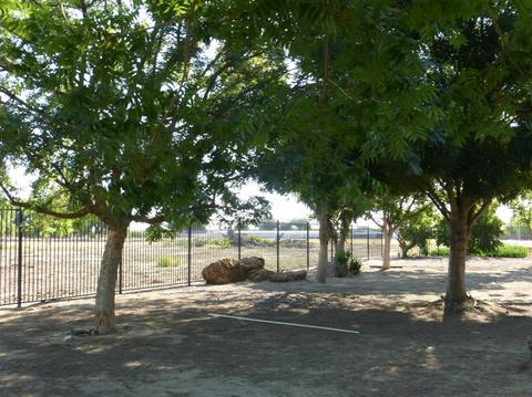 1235 North Ave, Gustine, CA 95322 photo 62
