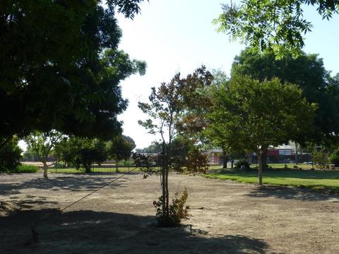 1235 North Ave, Gustine, CA 95322 photo 63