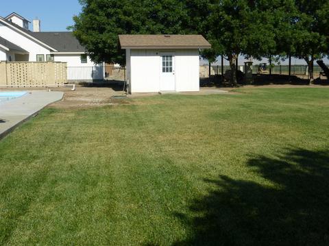 1235 North Ave, Gustine, CA 95322 photo 54
