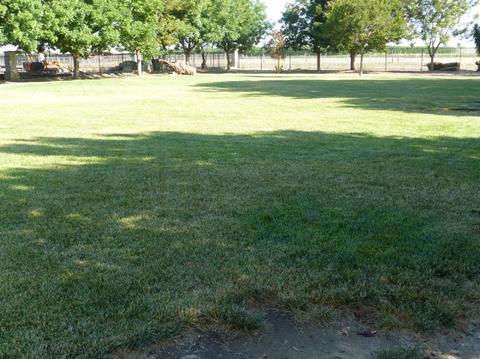 1235 North Ave, Gustine, CA 95322 photo 53