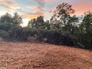 2238 Claim Ct, Placerville, CA 95667 photo 1