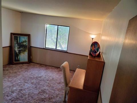 19701 Buckeye Dr, Volcano, CA 95689 photo 44