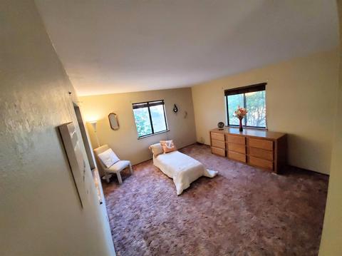 19701 Buckeye Dr, Volcano, CA 95689 photo 40