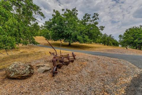 2352 Spink Rd, West Point, CA 95255 photo 56