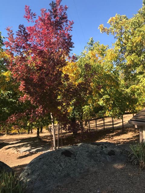 2352 Spink Rd, West Point, CA 95255 photo 49