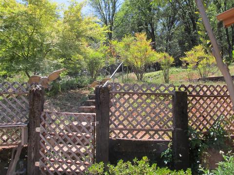1260 Sage Rd, Colfax, CA 95713 photo 30