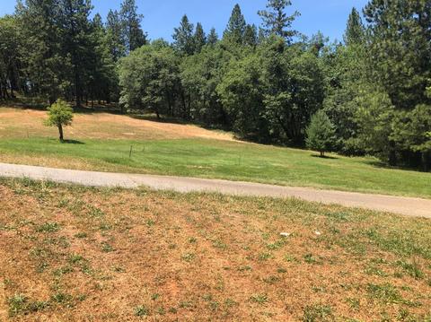 1260 Sage Rd, Colfax, CA 95713 photo 27