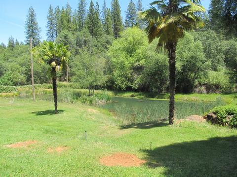 1260 Sage Rd, Colfax, CA 95713 photo 22