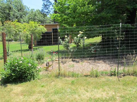 1260 Sage Rd, Colfax, CA 95713 photo 17