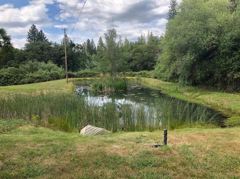 1260 Sage Rd, Colfax, CA 95713 photo 23