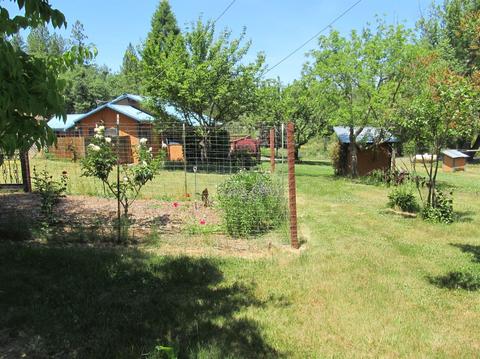 1260 Sage Rd, Colfax, CA 95713 photo 14
