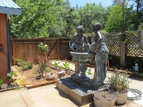 1260 Sage Rd, Colfax, CA 95713 photo 5