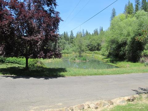 1260 Sage Rd, Colfax, CA 95713 photo 52