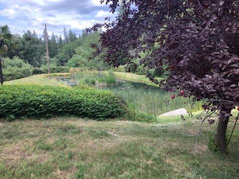 1260 Sage Rd, Colfax, CA 95713 photo 53