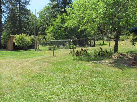 1260 Sage Rd, Colfax, CA 95713 photo 15