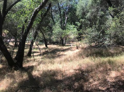 1140 Jackson Gate Rd, Jackson, CA 95642 photo 36