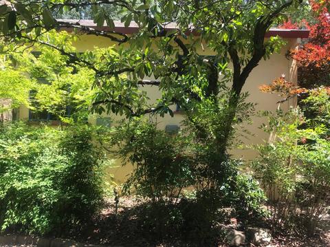 1140 Jackson Gate Rd, Jackson, CA 95642 photo 8