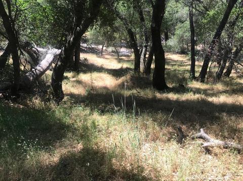 1140 Jackson Gate Rd, Jackson, CA 95642 photo 37