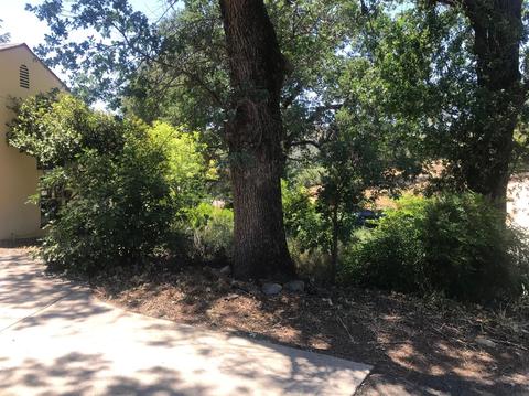 1140 Jackson Gate Rd, Jackson, CA 95642 photo 10