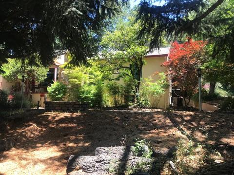 1140 Jackson Gate Rd, Jackson, CA 95642 photo 4
