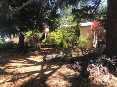 1140 Jackson Gate Rd, Jackson, CA 95642 photo 5
