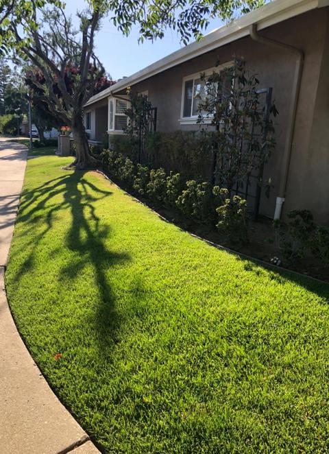 711 Willow Glen Dr, Lodi, CA 95240 photo 52