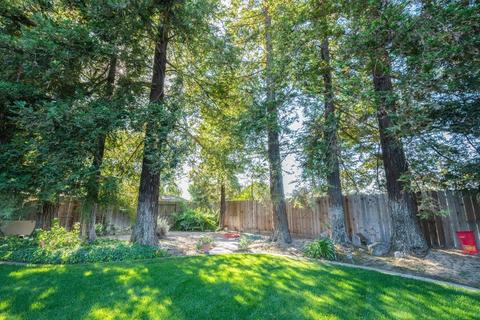 16341 Spring Creek Dr, Ripon, CA 95366 photo 5
