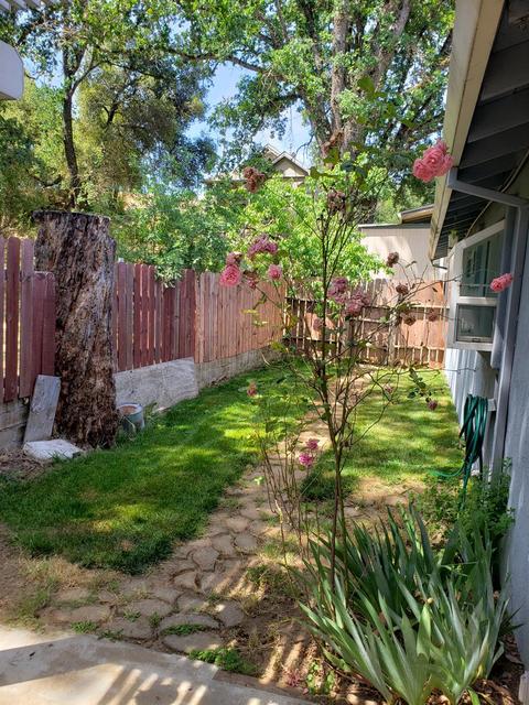 751 N Main, Jackson, CA 95642 photo 10