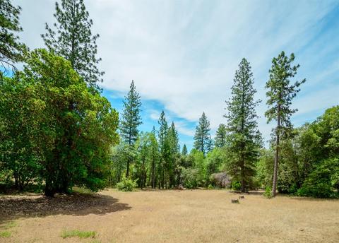 2801 Darr Ct, Placerville, CA 95667 photo 9