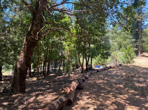 3985 Stope Dr, Placerville, CA 95667 photo 25