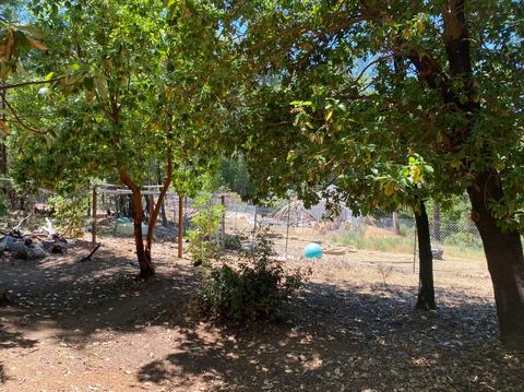 3985 Stope Dr, Placerville, CA 95667 photo 26