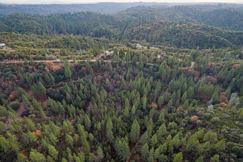 14141 Shake Ridge Rd, Sutter Creek, CA 95685 photo 21