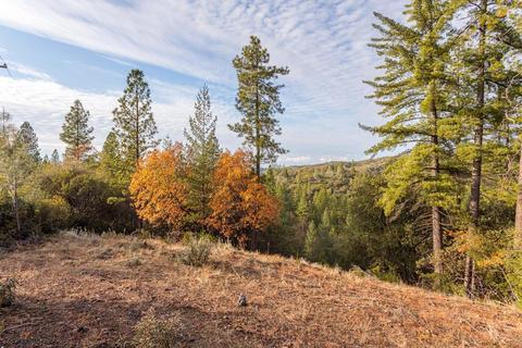 14141 Shake Ridge Rd, Sutter Creek, CA 95685 photo 14