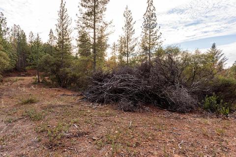 14141 Shake Ridge Rd, Sutter Creek, CA 95685 photo 8