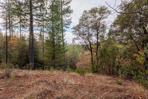14141 Shake Ridge Rd, Sutter Creek, CA 95685 photo 7