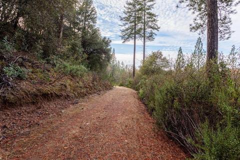 14141 Shake Ridge Rd, Sutter Creek, CA 95685 photo 10