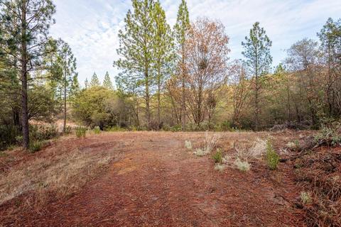 14141 Shake Ridge Rd, Sutter Creek, CA 95685 photo 5