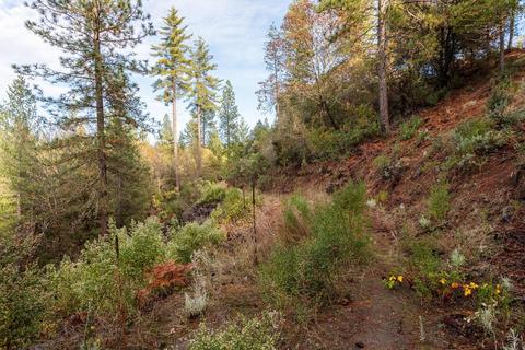 14141 Shake Ridge Rd, Sutter Creek, CA 95685 photo 3