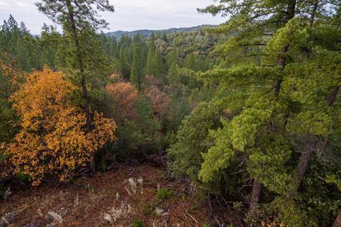 14141 Shake Ridge Rd, Sutter Creek, CA 95685 photo 27