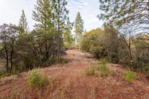 14141 Shake Ridge Rd, Sutter Creek, CA 95685 photo 6