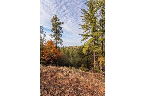 14141 Shake Ridge Rd, Sutter Creek, CA 95685 photo 15
