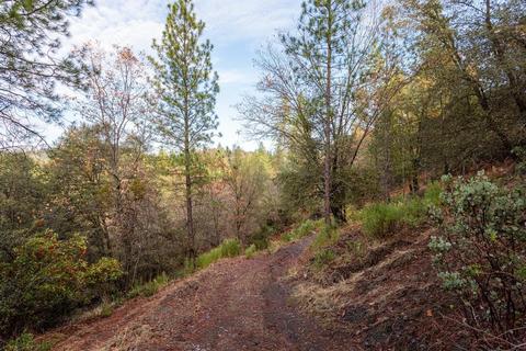 14141 Shake Ridge Rd, Sutter Creek, CA 95685 photo 2