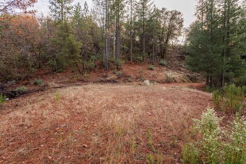 14141 Shake Ridge Rd, Sutter Creek, CA 95685 photo 9