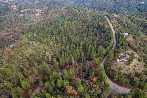 14141 Shake Ridge Rd, Sutter Creek, CA 95685 photo 22