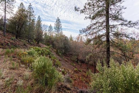 14141 Shake Ridge Rd, Sutter Creek, CA 95685 photo 11