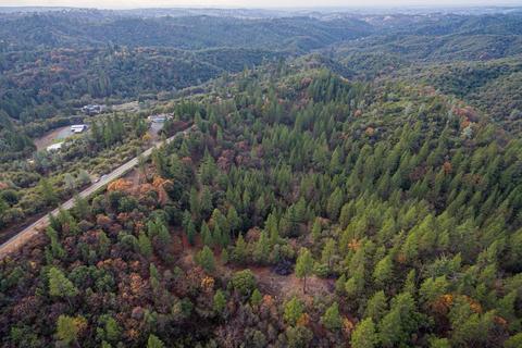 14141 Shake Ridge Rd, Sutter Creek, CA 95685 photo 19