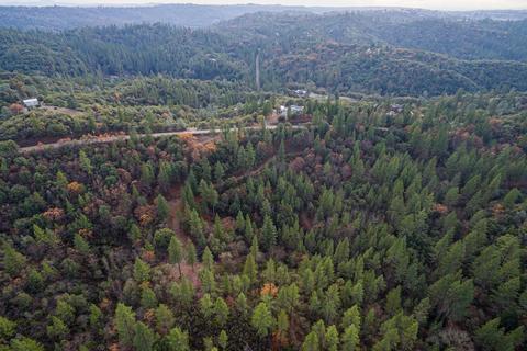 14141 Shake Ridge Rd, Sutter Creek, CA 95685 photo 20