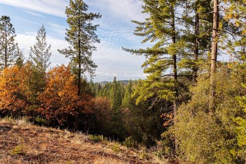 14141 Shake Ridge Rd, Sutter Creek, CA 95685 photo 12
